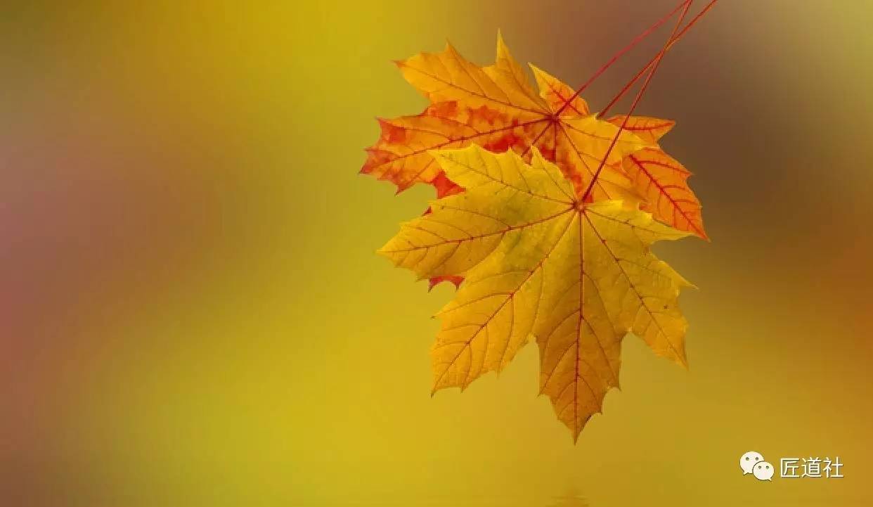 蔣小華：你的品格與修養(yǎng)，為何一看便知？