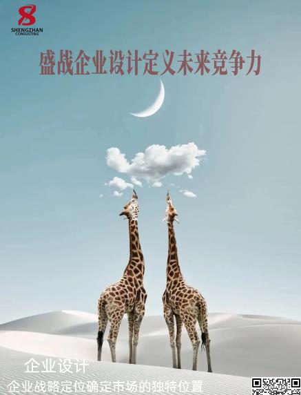 企業(yè)設(shè)計：企業(yè)戰(zhàn)略定位是確定市場的獨(dú)特位置